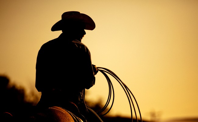 Rodeo cowboy silhouette