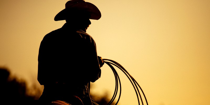 Rodeo cowboy silhouette