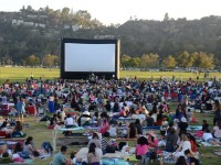 Street Food Cinema